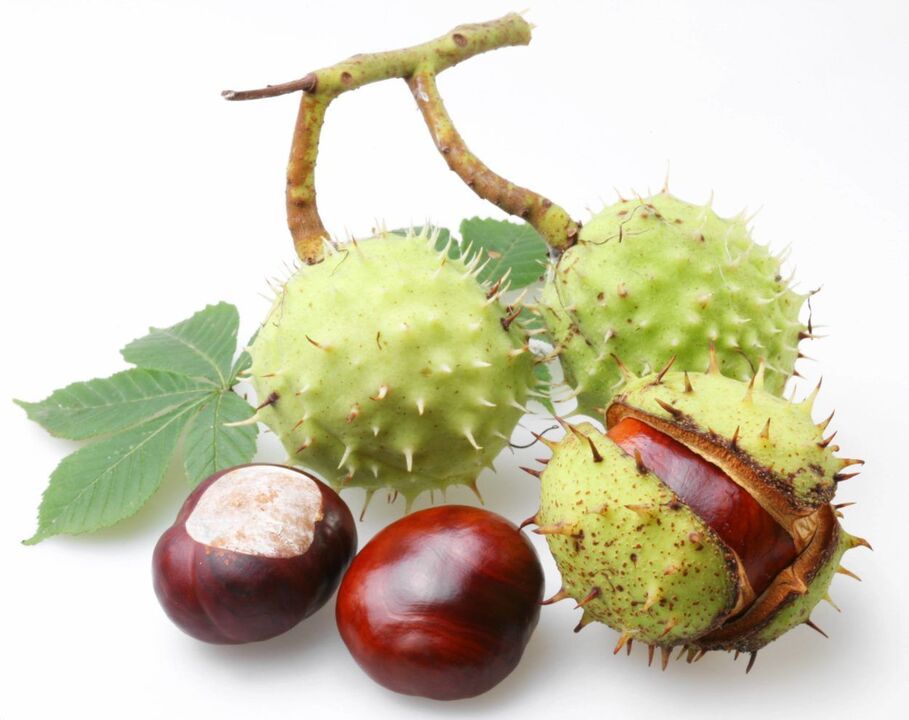 chestnut bark for the treatment of prostatitis